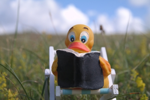 Patito de goma leyendo un libro